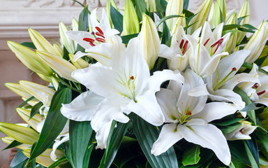 Amaryllis flowers bouquet