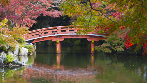 Obraz w ramie Red wood bridge on a garden in Japan