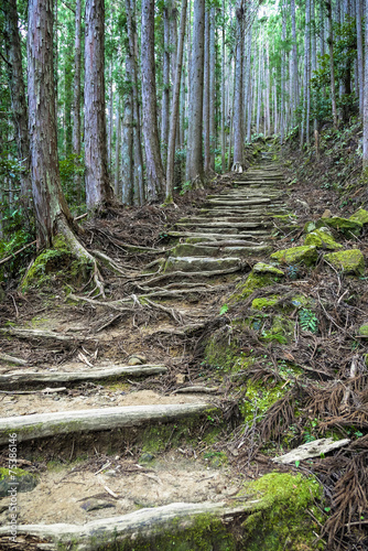 Obraz w ramie Droga schody wakayama