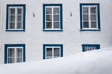 Wall Mural - Winter