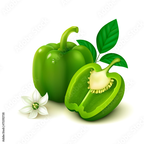 Fotomural Green bell pepper (bulgarian pepper) on white background
