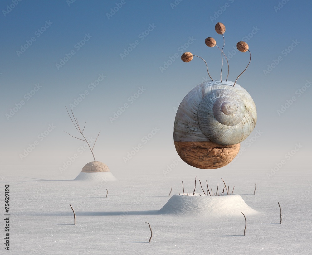Surreal winter artistic image of a snail and walnut - obrazy, fototapety, plakaty 