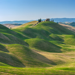 Wall Mural - Tuscan summer on the fields in the beautiful view