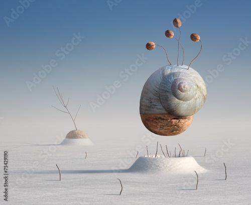 Obraz na plátně Surreal winter artistic image of a snail and walnut