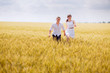 © anikanes - series. a love story. couple runs in the wheat field and smiling