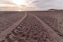 Wheel Tracks In The Sand