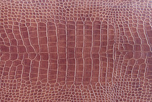 Brown Crocodile Skin Texture As A Wallpaper
