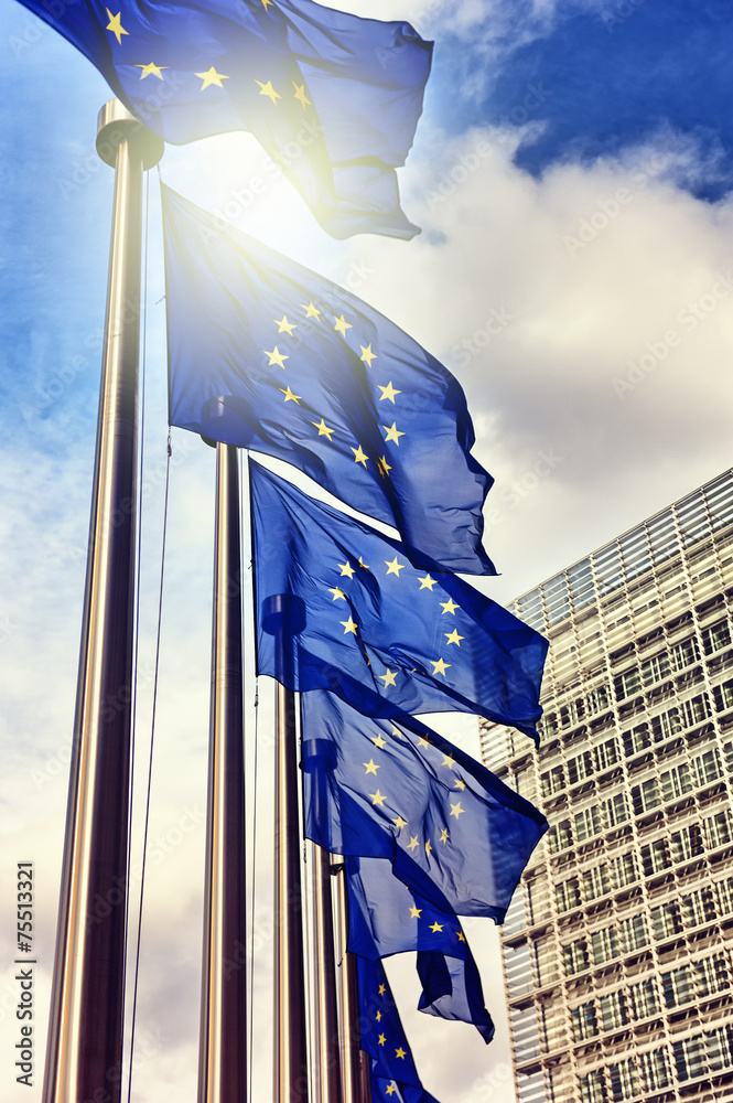 European Union flags - obrazy, fototapety, plakaty 