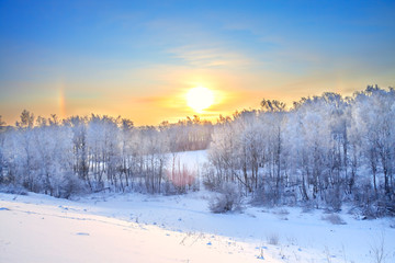 Sticker - winter rural landscape with a sunset in the forest