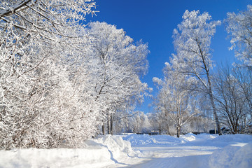 Wall Mural - winter rural landscape with the road the forest and the village