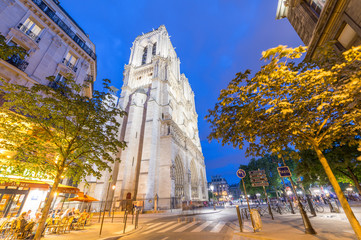 Wall Mural - PARIS - JUNE 12, 2014: Tourists walk near Notre Dame. Paris is v