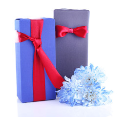 Two gift boxes with blue flower on white background