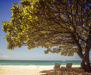 Sunbath under tree