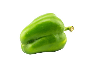 single green bell pepper on white background with isolated