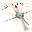 Excellence compass