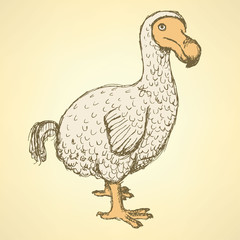 Wall Mural - Sketch dodo bird in vintage style