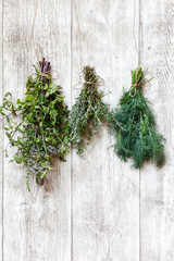 Poster - fresh herbs