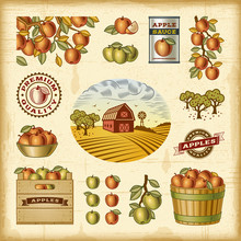 Vintage Colorful Apple Harvest Set