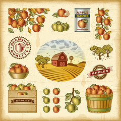 Wall Mural - Vintage colorful apple harvest set