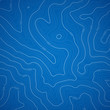 Blue Topographic Background