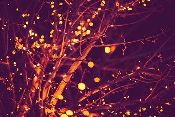 Holiday Lights Background