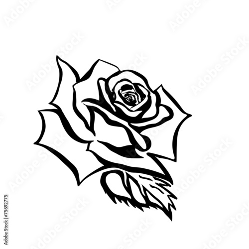 Plakat na zamówienie Rose sketch