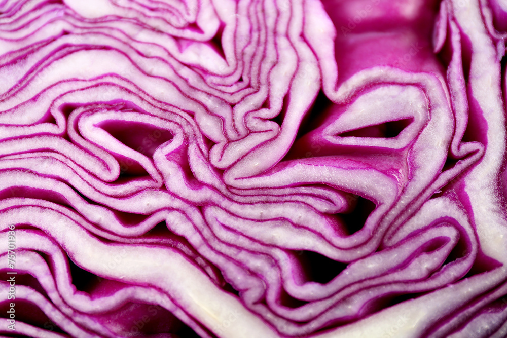Red cabbage texture