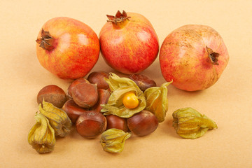 Pomegranate, physalis and chestnuts isolated on a beige backgrou