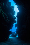 Fototapeta Londyn - Underwater Grotto