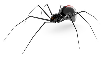 Black glass spider isolated on a white background.