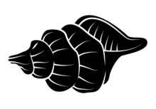 Symbol Tattoo Of Sea Shell