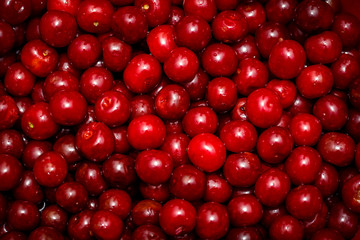 Wall Mural - red cherry background