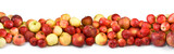 Fototapeta Kuchnia - apples on a white background