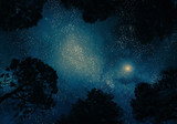 Fototapeta Na sufit - Starry sky through trees