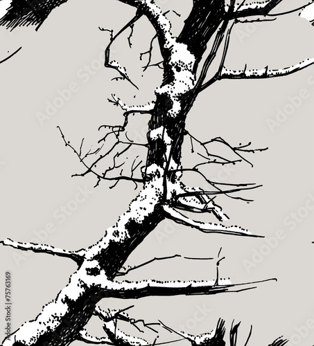 Fototapeta do kuchni tree