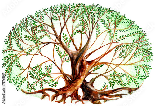 drzewo-z-korzeniami-i-zielonymi-liscmi-w-ksztalcie-okregu-ilustracja