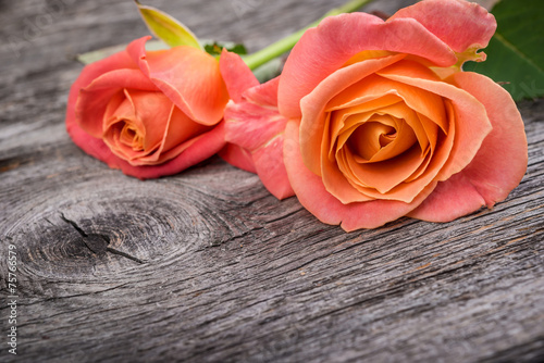 Naklejka na szybę Pink roses on rustic wooden table, vintage style.