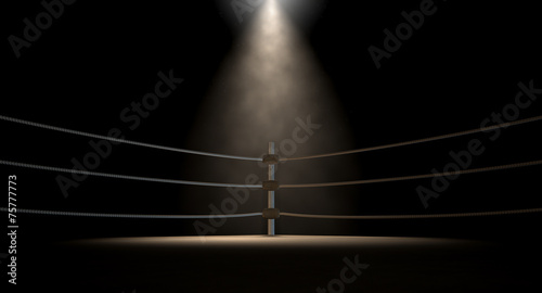 Classic Vintage Boxing Ring Corner Tableau sur Toile