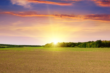 plowed field and beautiful sunset