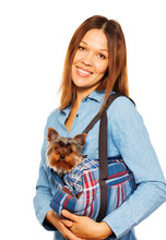 Yorkshire Terrier In Dog's Carrying Bag With Woman