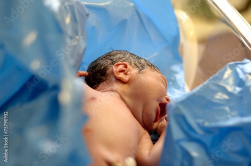 Fotografija  出産直後