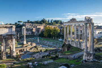 Wall Mural - Roman Forum in Rome, Italy