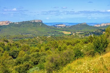 Wall Mural - Alpilles 03