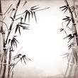 bamboo painted on textural grunge background. Vector