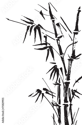 zarys-bambusowego-drzewa-i-lisci-w-czarnym-i-bialym-kolorze