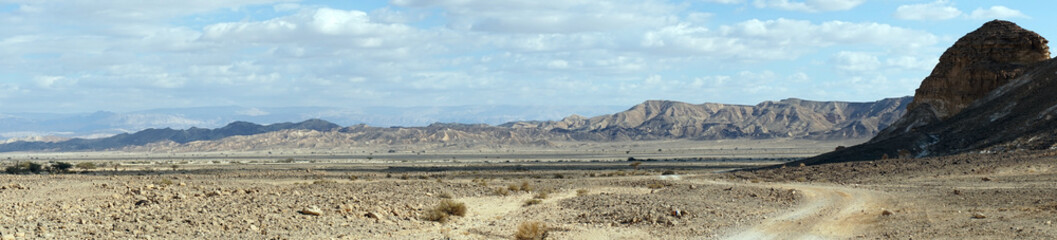 Wall Mural - Negev desert