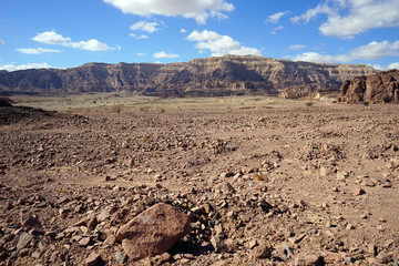 Wall Mural - Timna park