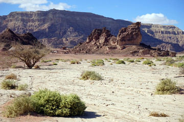 Wall Mural - Landscape