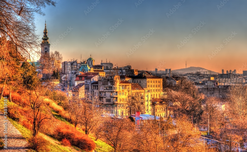 Obraz na płótnie View of Belgrade city center - Serbia w salonie