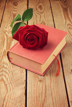 Single Rose Flower On Book Over Wooden Background